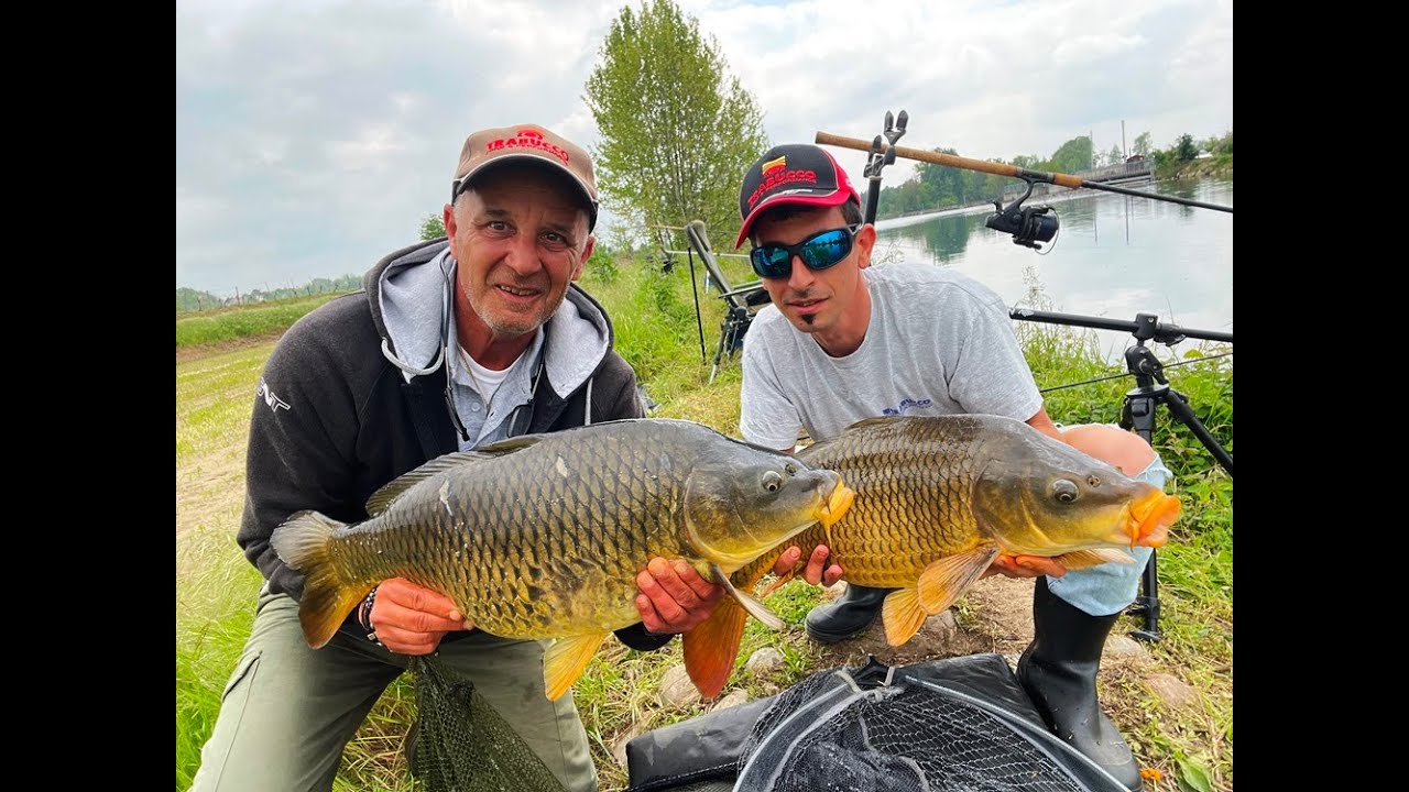 Carpe specialist fiume Oglio (prima  parte)