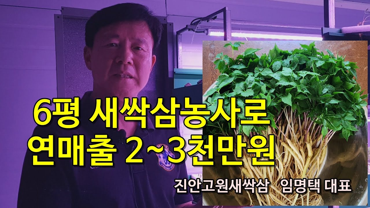 [귀농귀촌인 소개]6평 새싹삼 스마트팜으로 고수익을 올리는 귀농귀촌인의 이야기