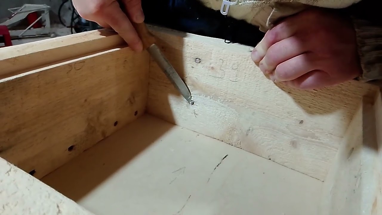 Hive bees  🐝 🐝 🐝.Как законопатить отверстия от гвоздей и короеда. Сажаем на клей пва. Улей для пчёл.