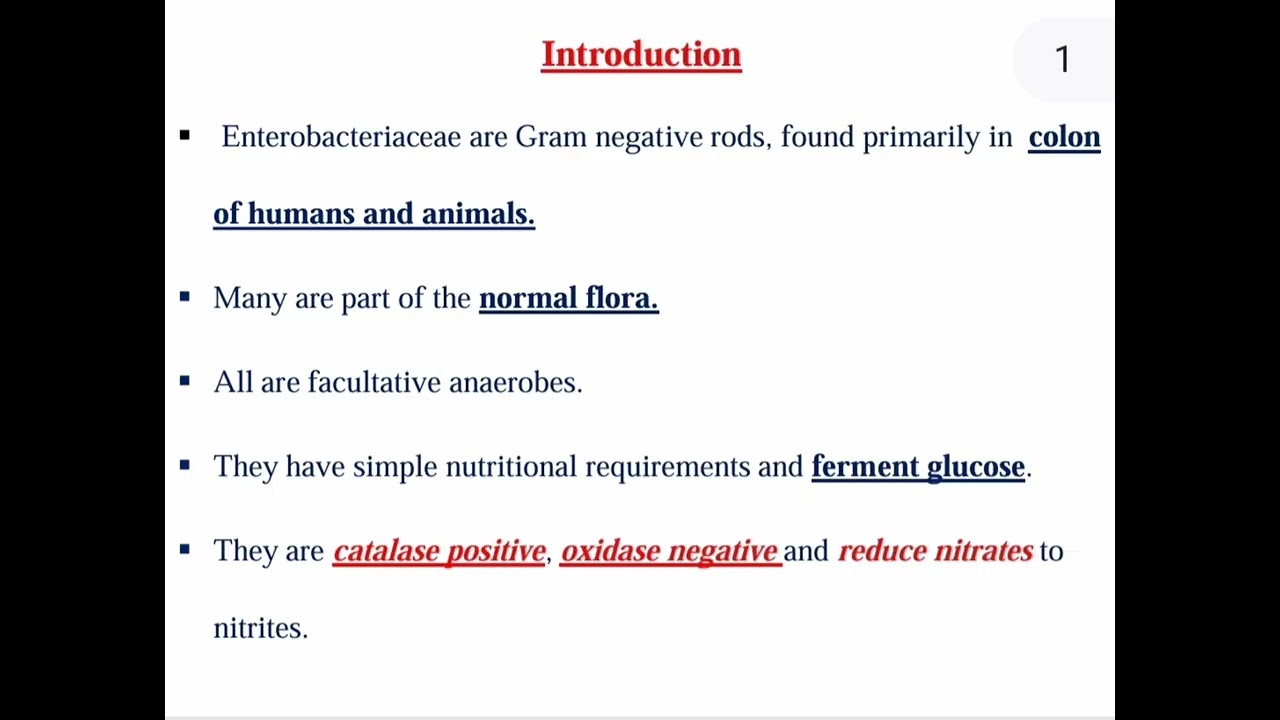 Enterobacteriaceae