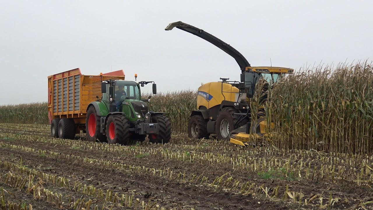 Mais hakselen bij Veerenhuis met New Holland FR500 + 2 John Deere en 5 Fendt trekkers (2024)