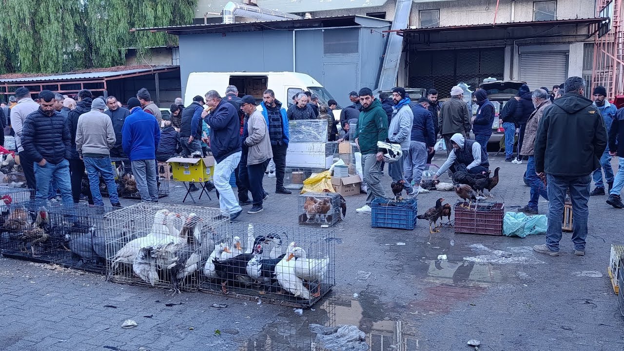 #izmir
