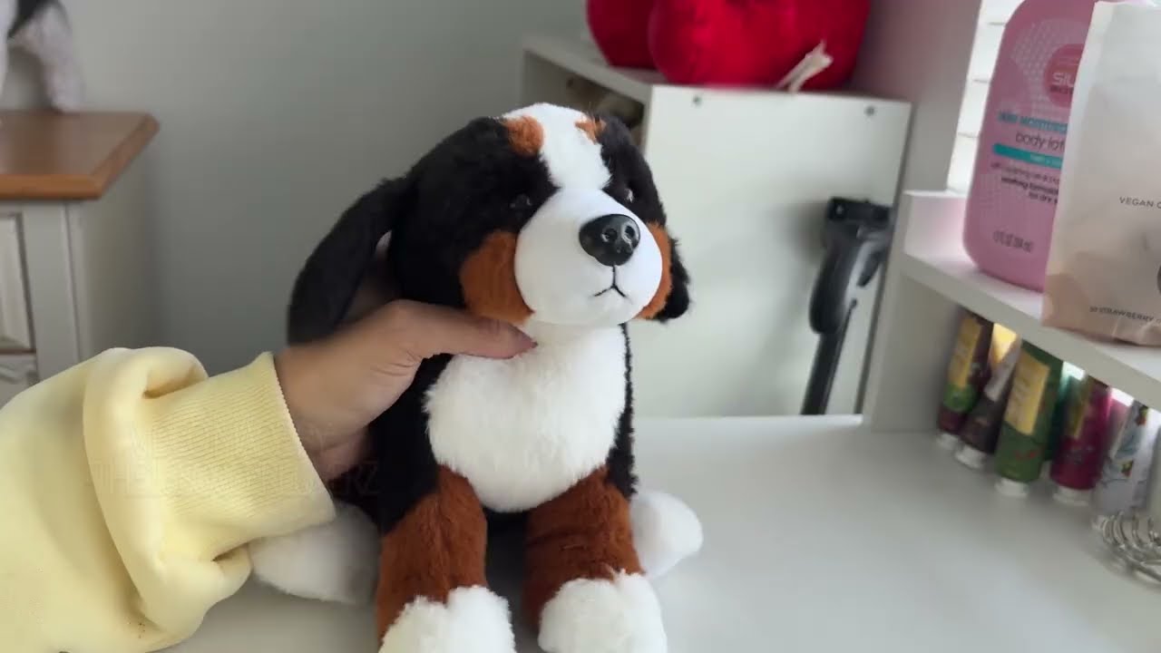 Unboxing The Newest Generation Webkinz Bernese Mountian Dog!