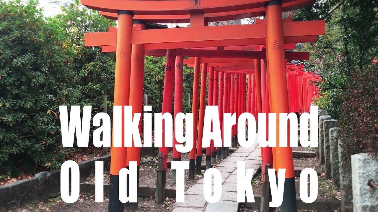 【Tokyo Guide Ep.13】YANESEN #tokyoextra #東京EXTRA
