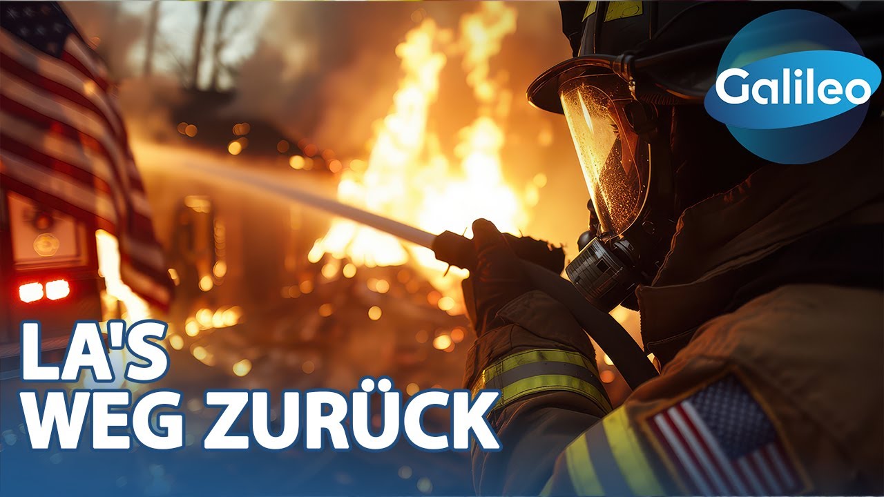 LA erhebt sich wieder: Neustart nach der Feuer-Katastrophe