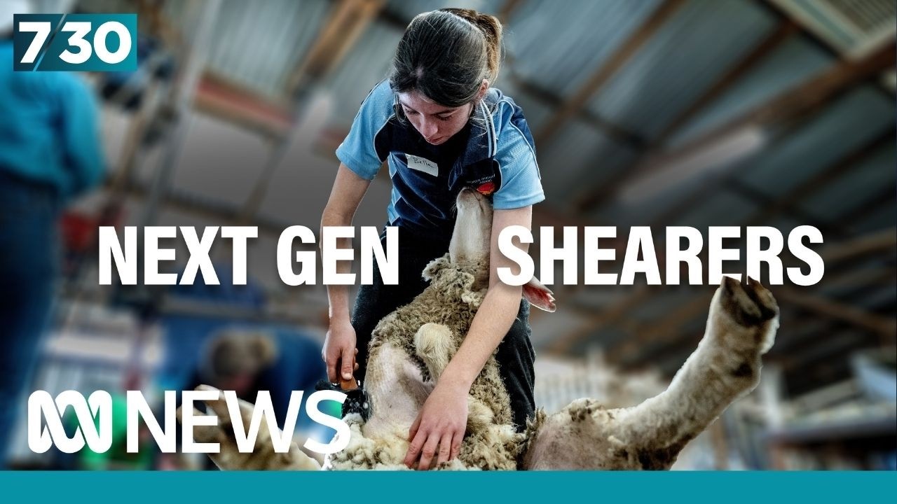 Search for the next generation of sheep shearers | 7.30