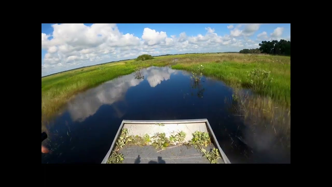 Kissimmee river/marsh airboat ride￼￼