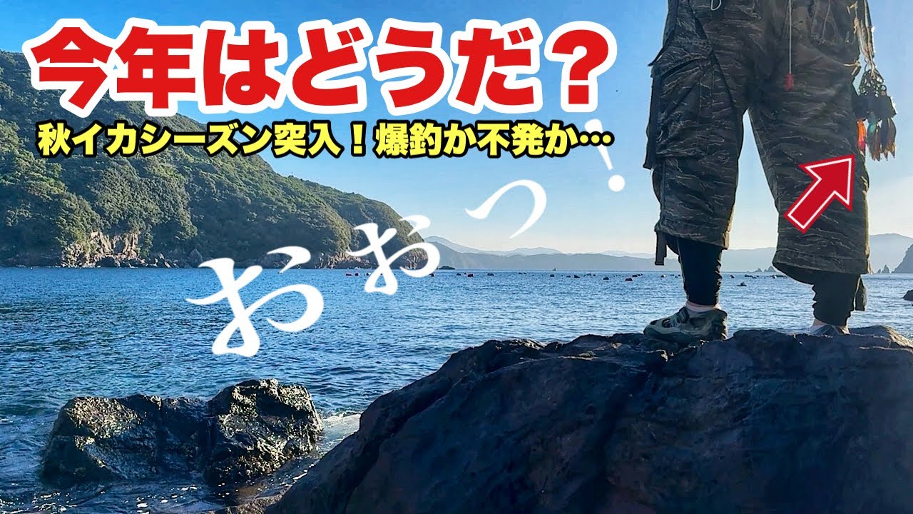 走って釣って秋イカ求めてポイントめぐり！ランガン釣行の結末は？