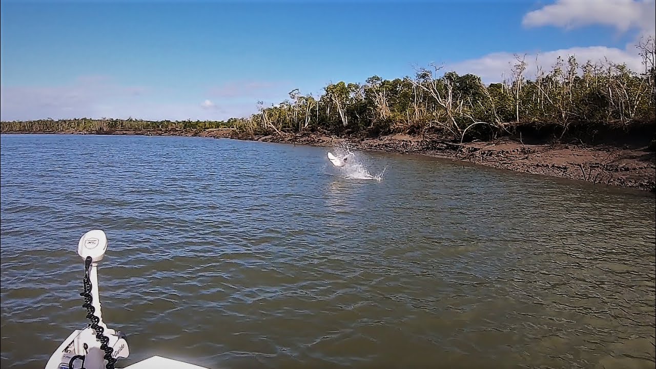 My BIGGEST BARRAMUNDI ever?! plus CRAZY Threadfin Salmon session.