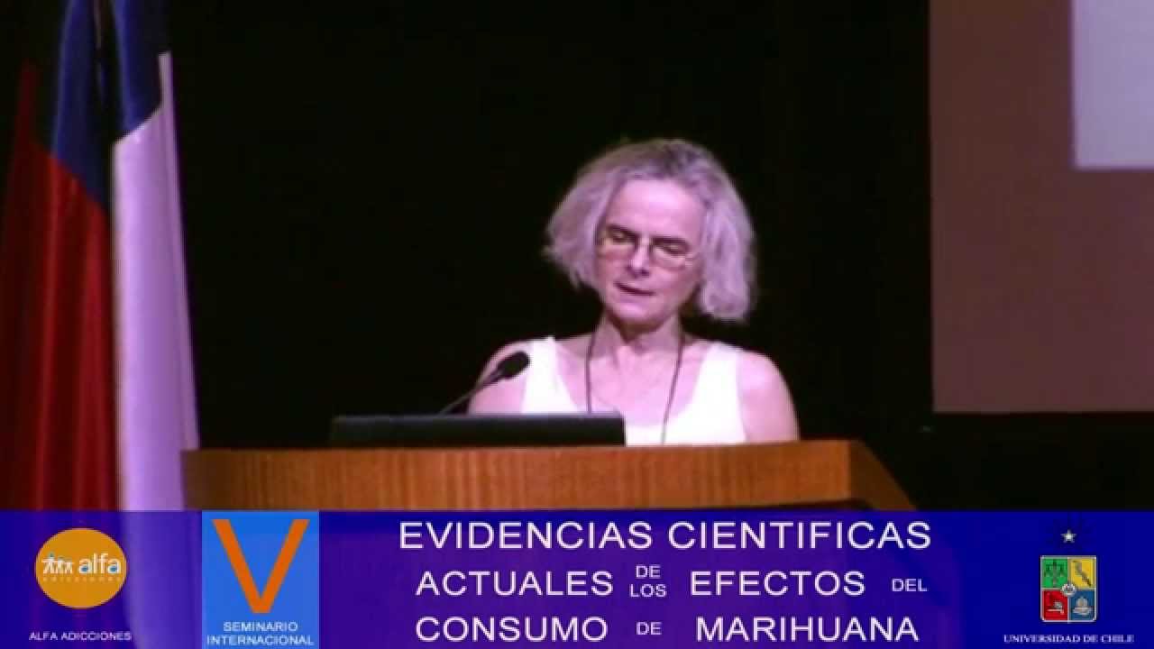 ¿LA MARIHUANA ES DAÑINA PARA EL CEREBRO HUMANO?