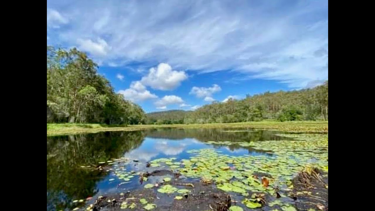 PTP Fishing - Tips for fishing Enoggera Reservoir