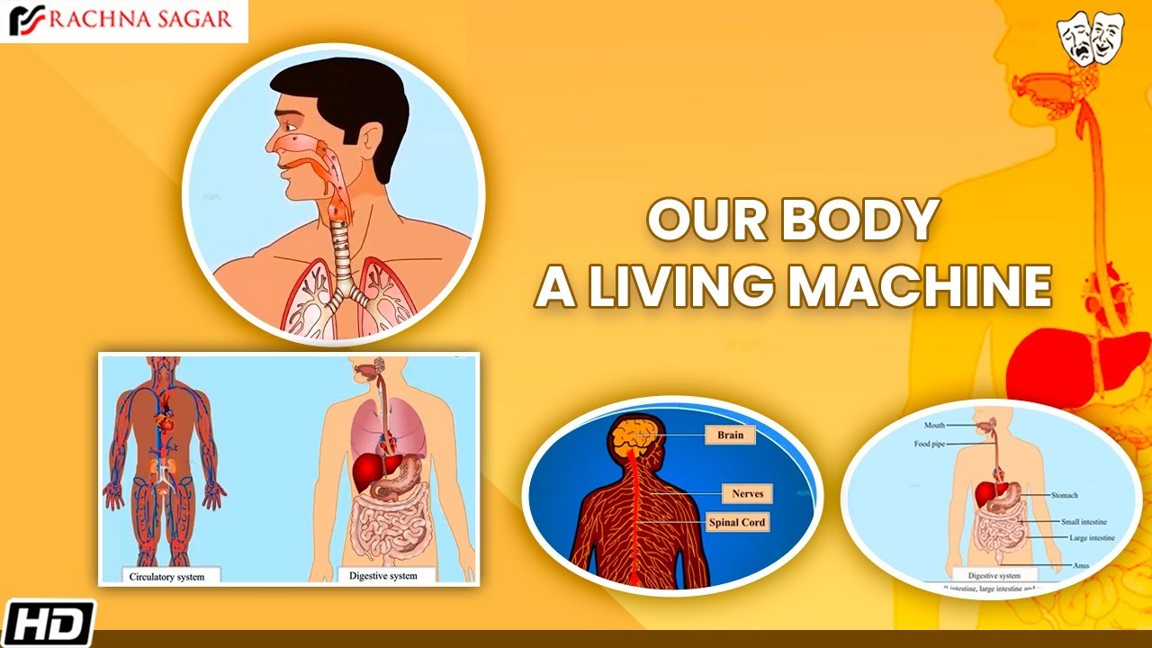 Our Body A Living Machine | Be a Scientist Class 3 | Best Learning Videos For Kids | Rachna Sagar