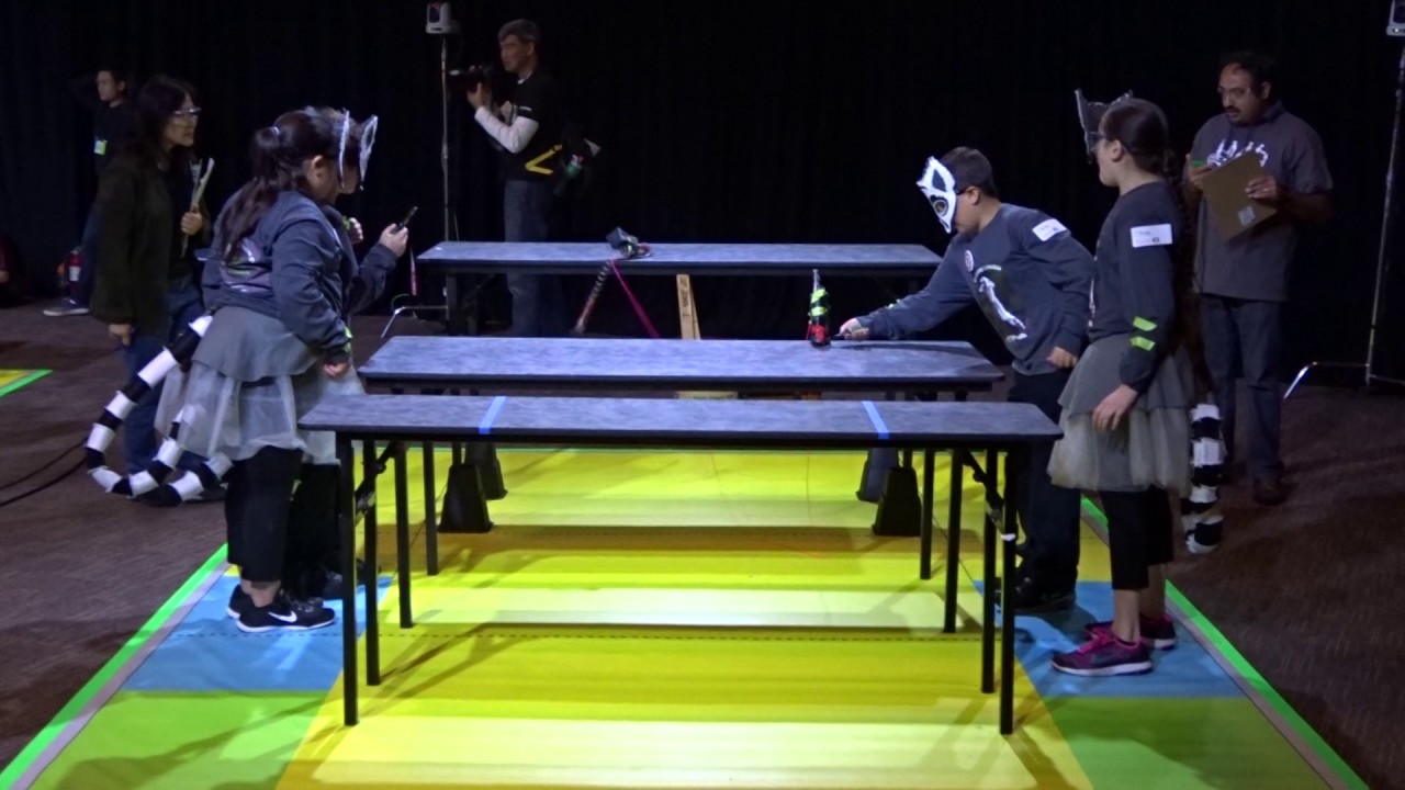 Leaping Lemurs at 2017 Tech Challenge