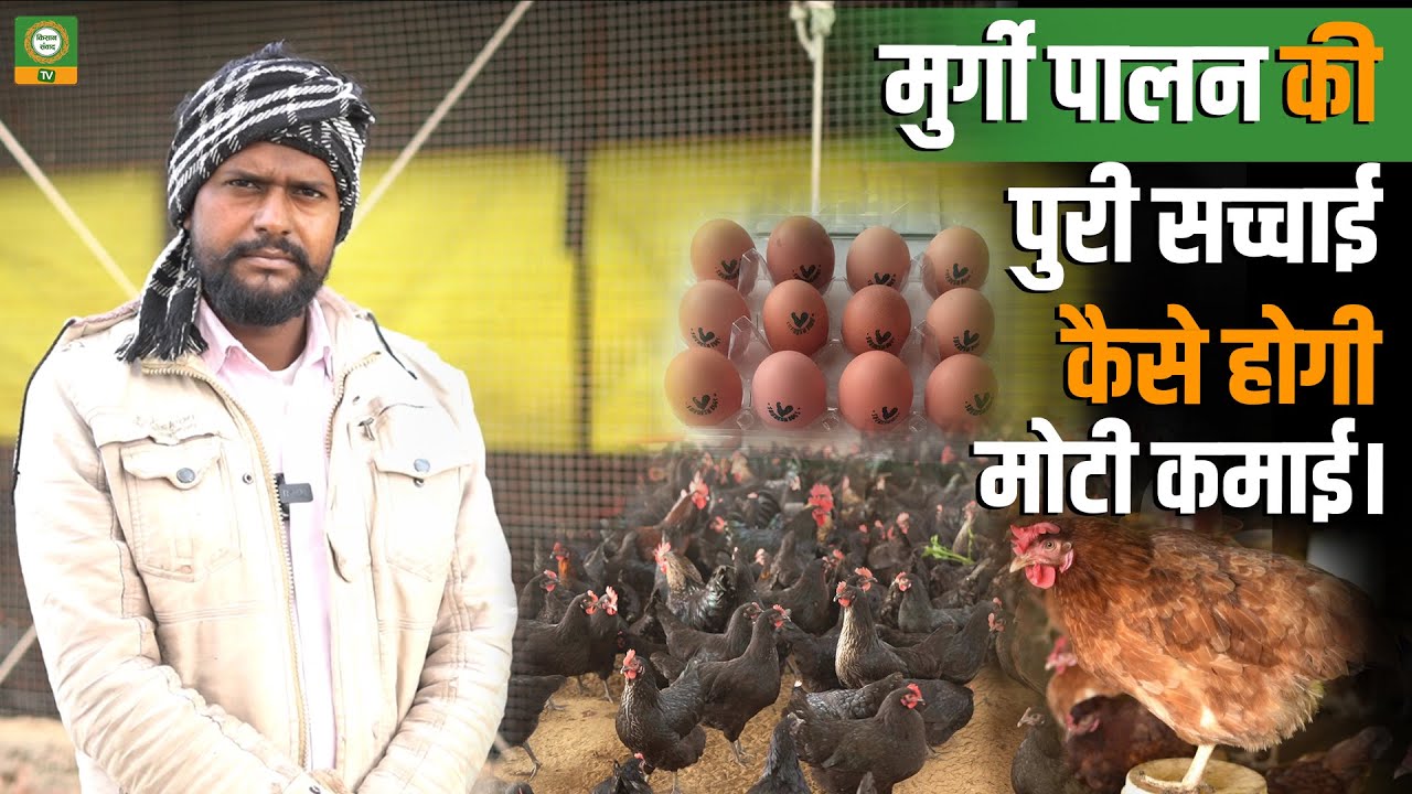 मुर्गी पालन कैसे शुरू करें? | Complete Poultry Farming Guide Hindi