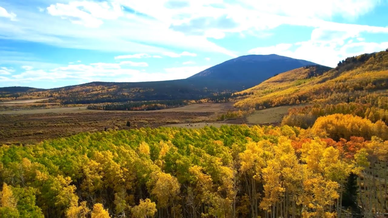 Colorado Fall 2024