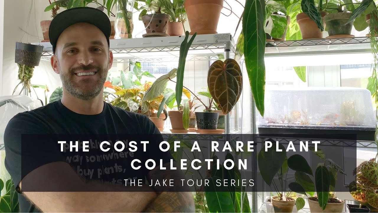 The Cost of a Rare Plant Collection | Jake Series Part XI | Ep 39