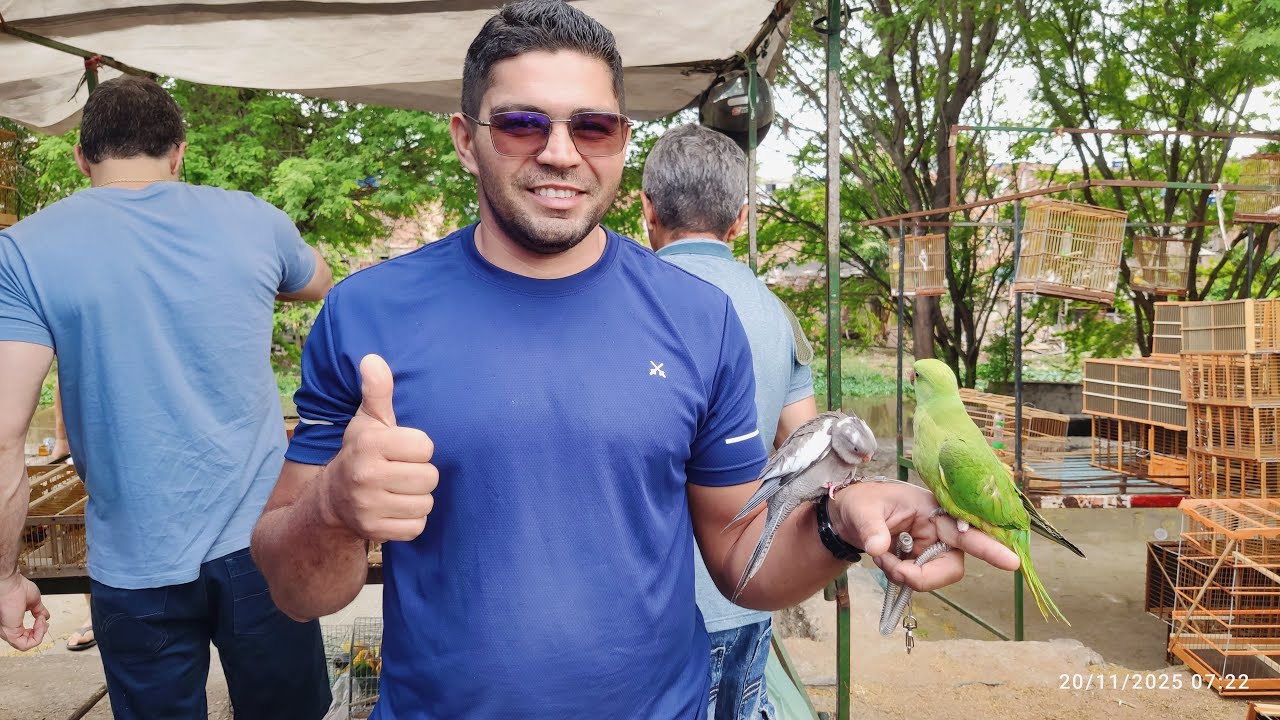 FEIRA DE PÁSSAROS EXÓTICOS DE CARUARU PE 20 11 2025