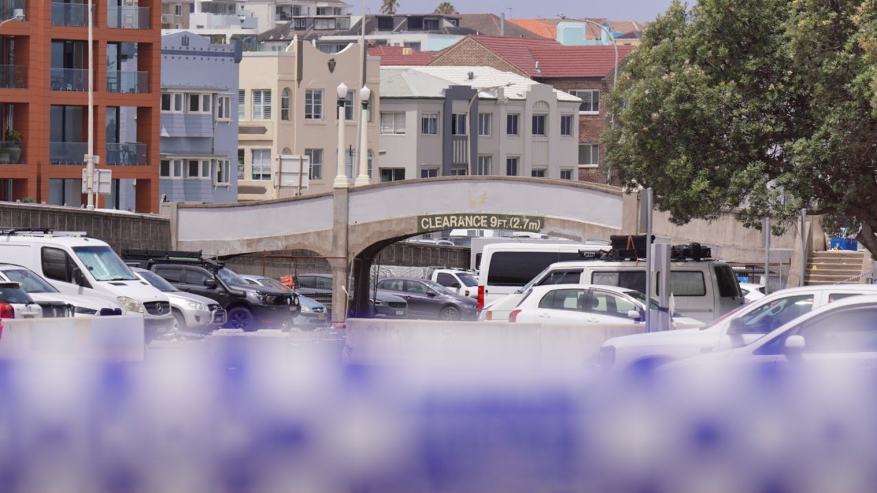 'Missing the whole point': Labor turns to gun reform following Bondi terror attack