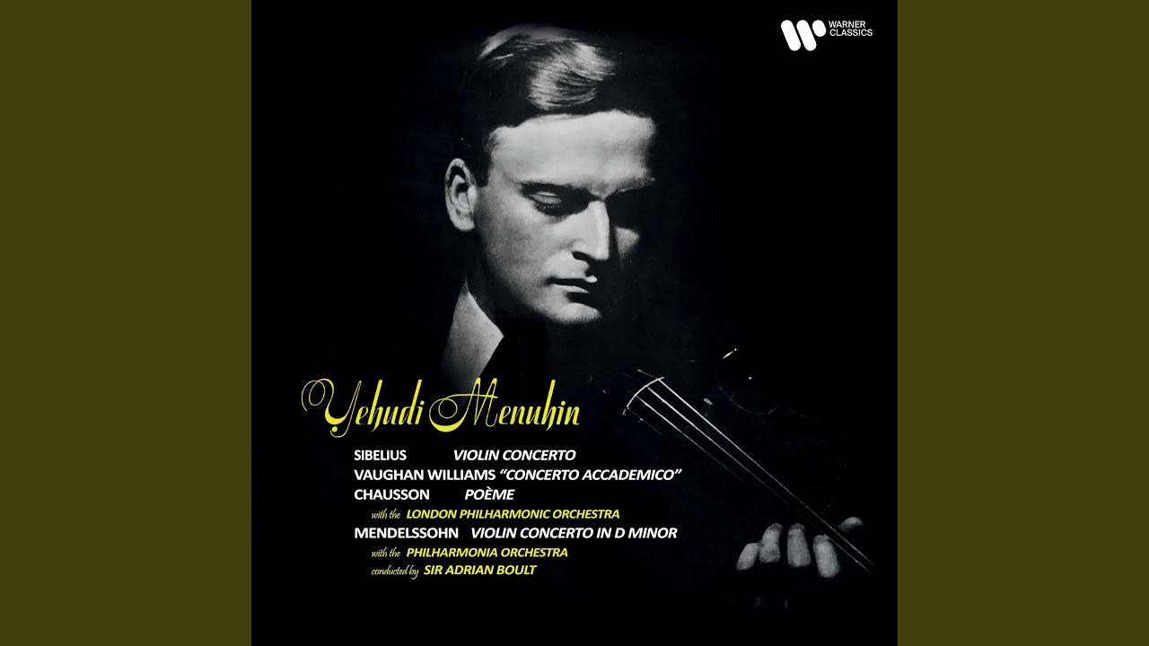 Violin Concerto in D Minor, Op. 47: I. Allegro moderato