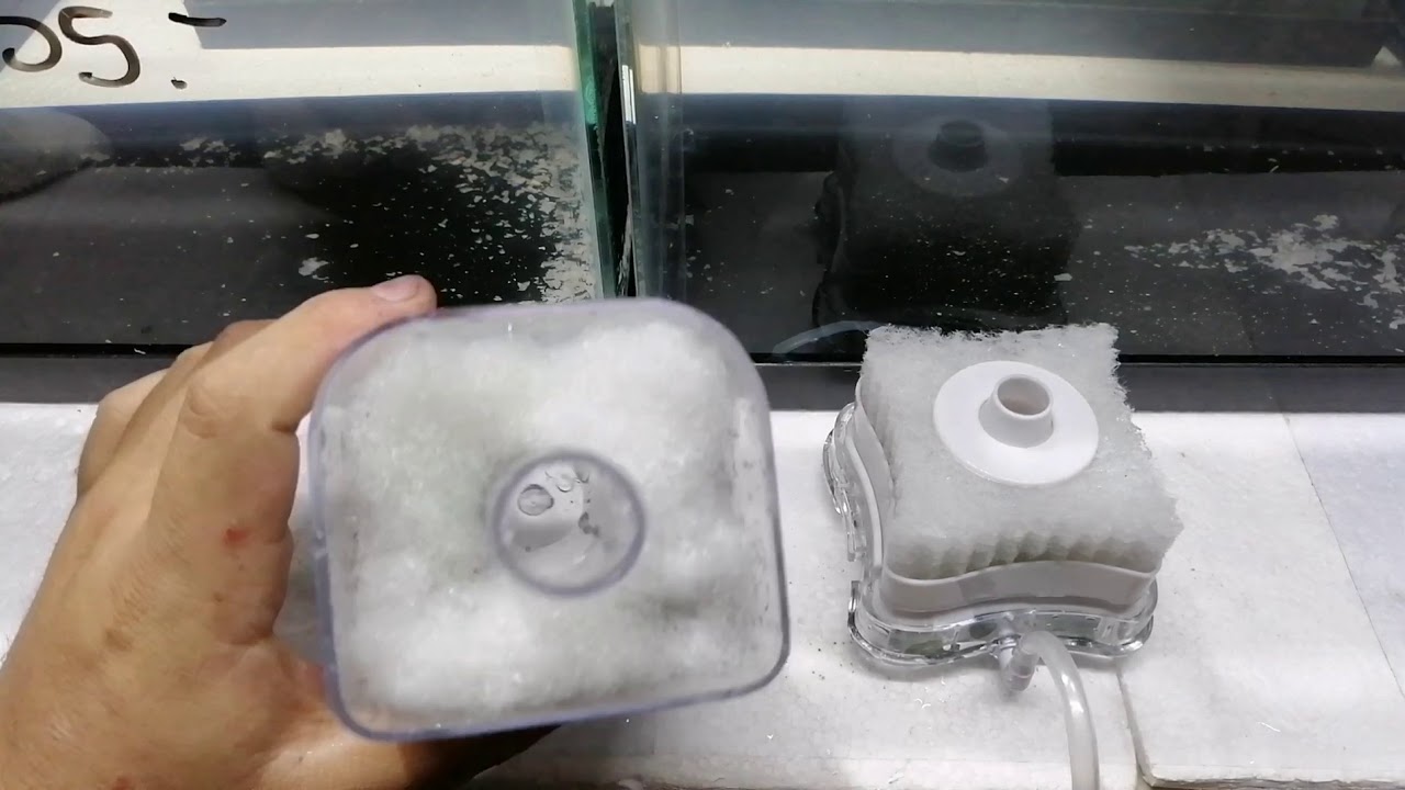 Micro Versus : Filtros de Caja