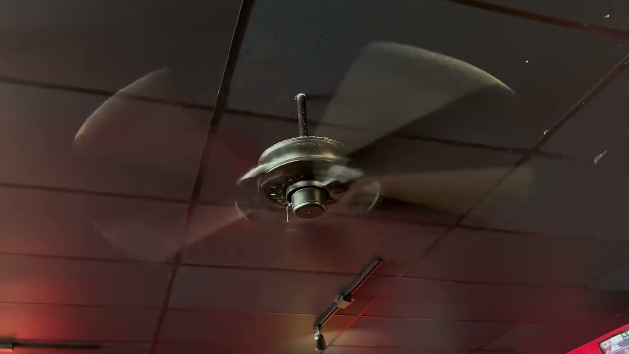 Ceiling fans at Big pie pizza (reshoot 2)