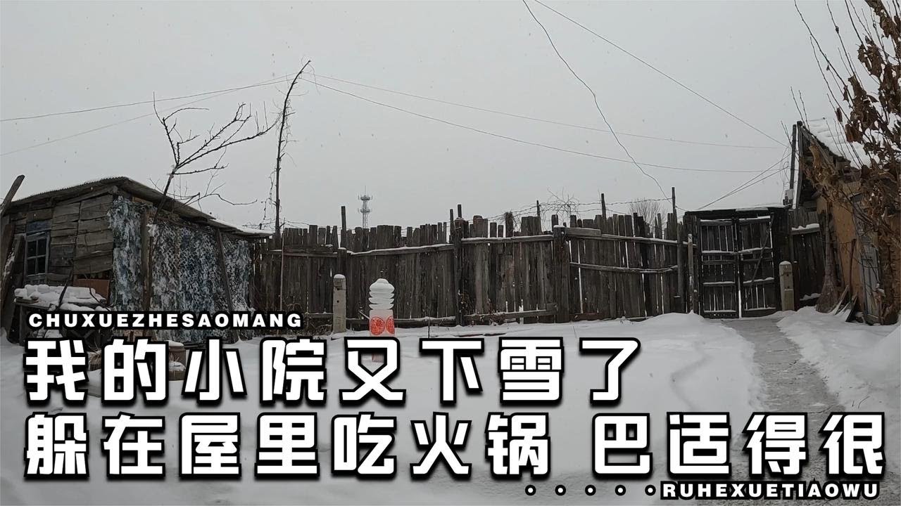 下雪了，沉浸式体验东北山村小院猫冬的一天，你羡慕这种生活吗？