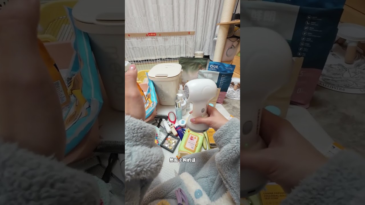 幼犬到家前准备用品清单全攻略vlog~#新手养狗 #日常vlog #养狗经验分享 #幼犬到家 #西施