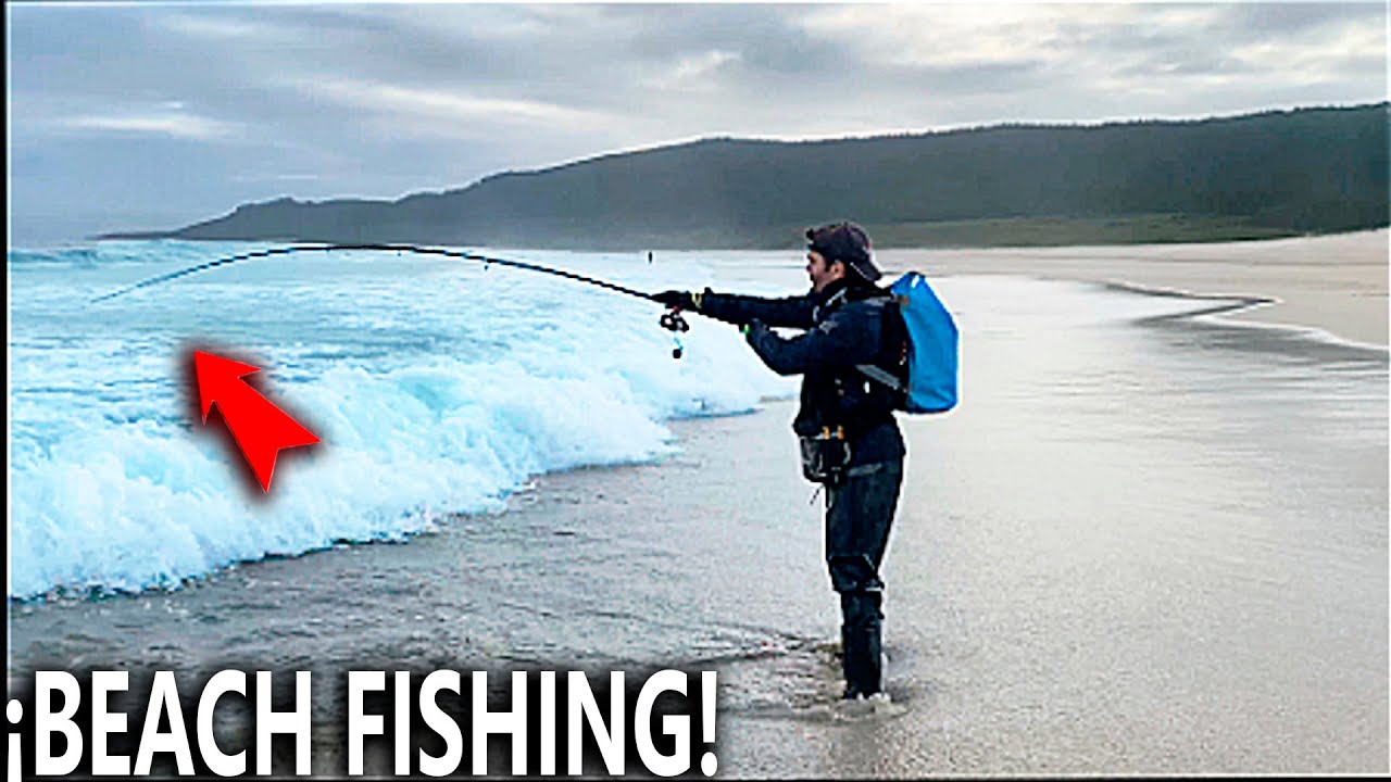 En esta PLAYA ¡¡SON ENORMES!! Pesca a SPINNING Beach, en GALICA 2.0
