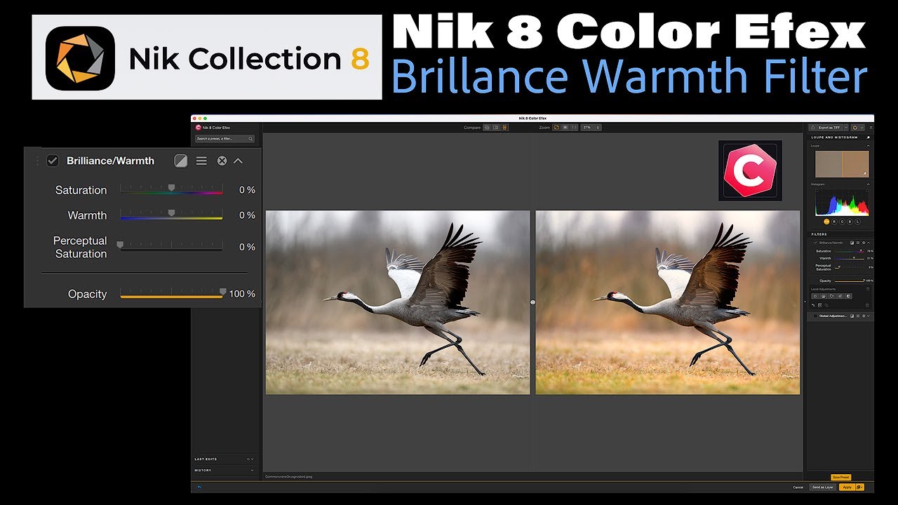 NIK 8 Color Efex: The Brillance Warmth Filter
