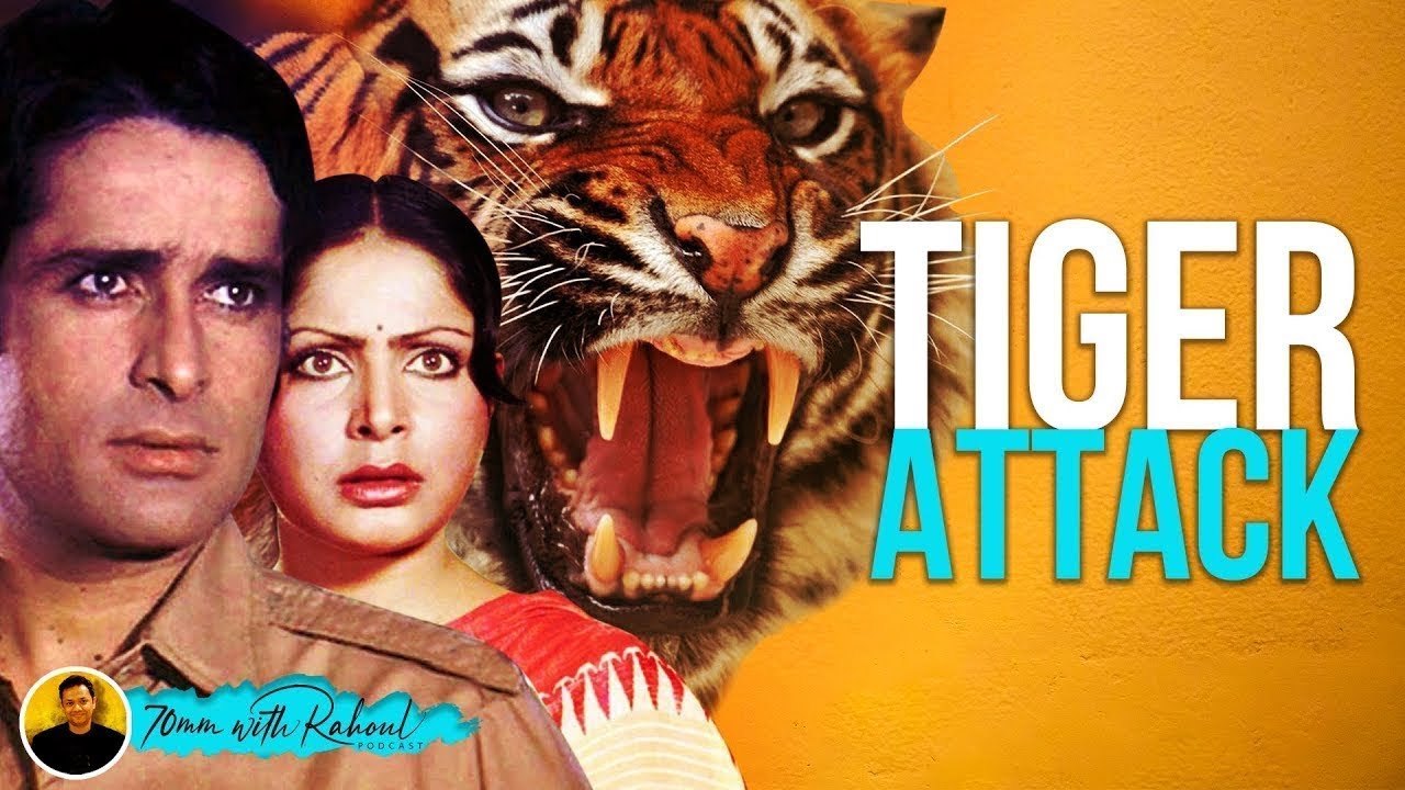 Shashi Kapoor saved Rakhee from a Tiger