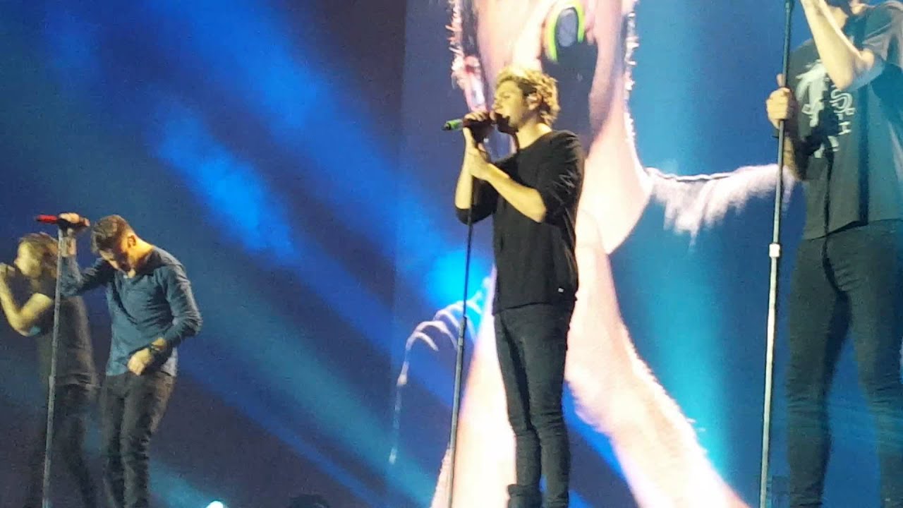 Perfect - One Direction // Sheffield 29/10/15