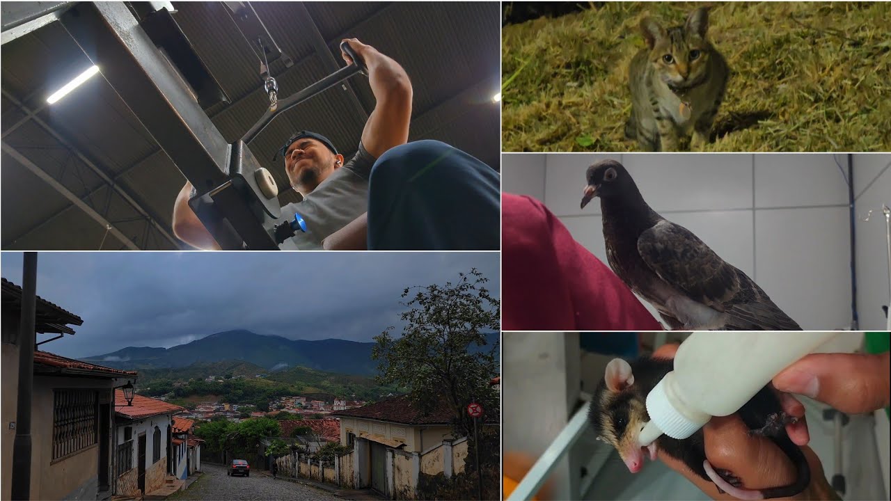 ASMR VLOG rotina de um clt recém formado  😴💼