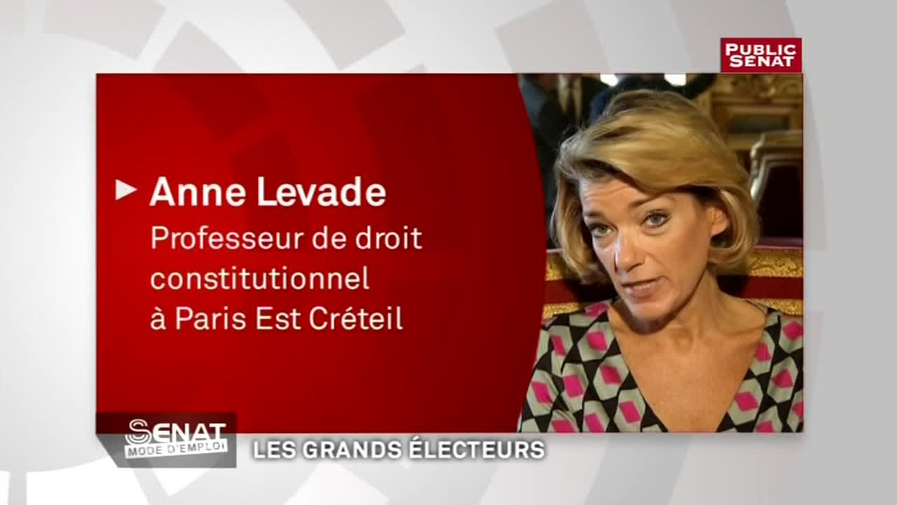 Les grands &eacute;lecteurs - S&eacute;nat mode d'emploi (22/11/2013)