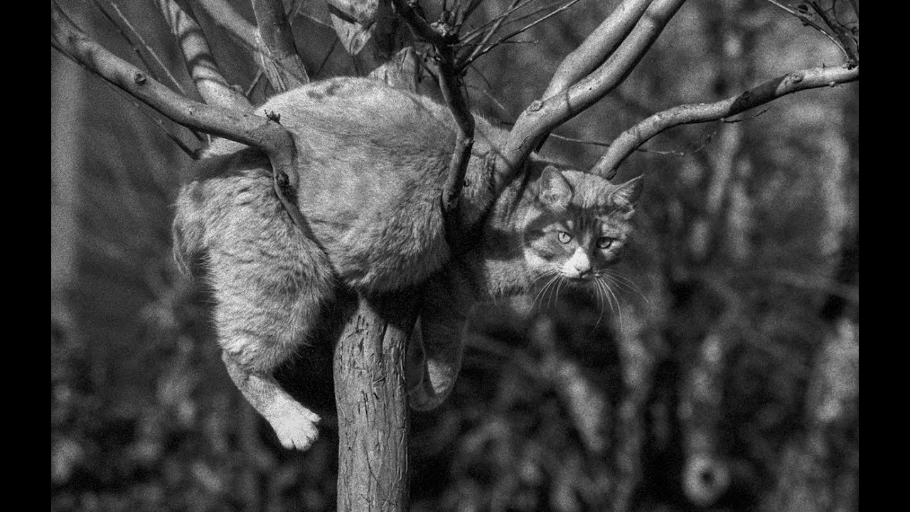 2023 to now!  My top 10 Film Photos I took.