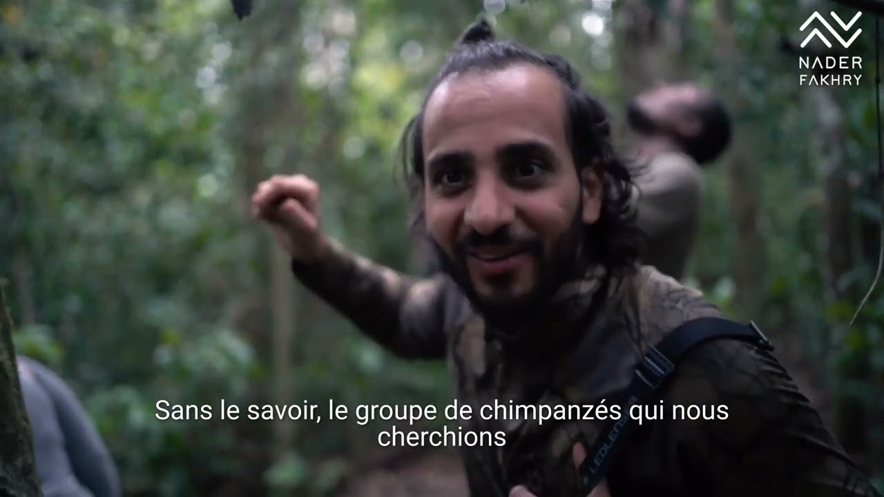 Au cœur du Parc national de Taï