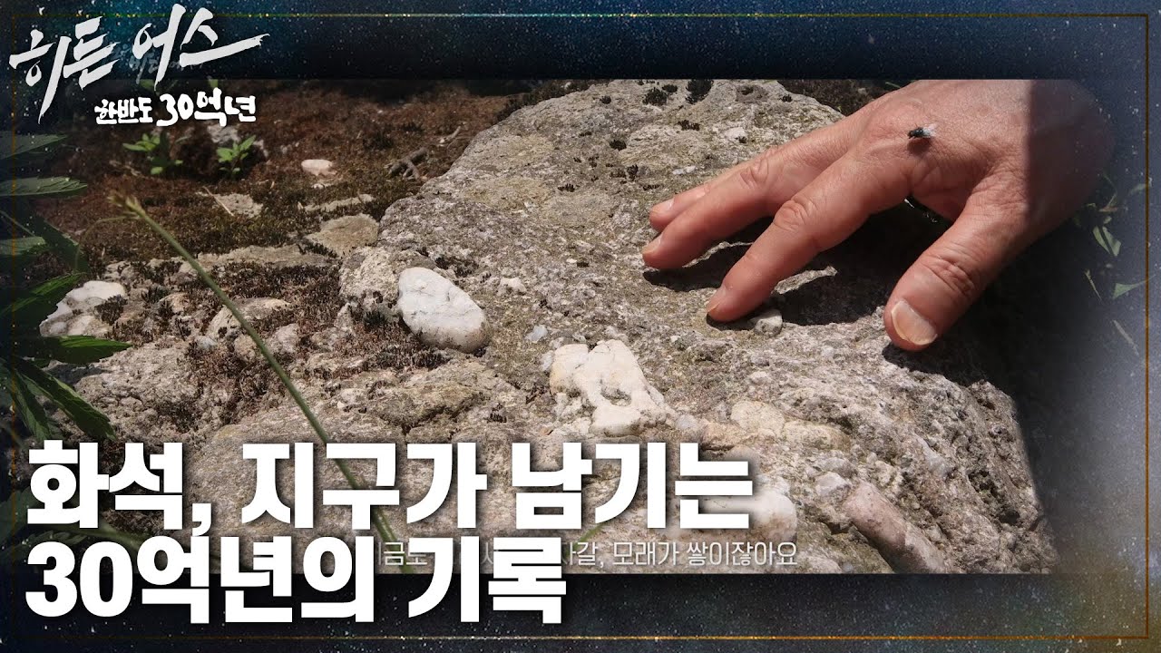 화석, 지구가 남기는 30억년의 기록 [히든 어스 - 한반도 30억년] | KBS 230303 방송
