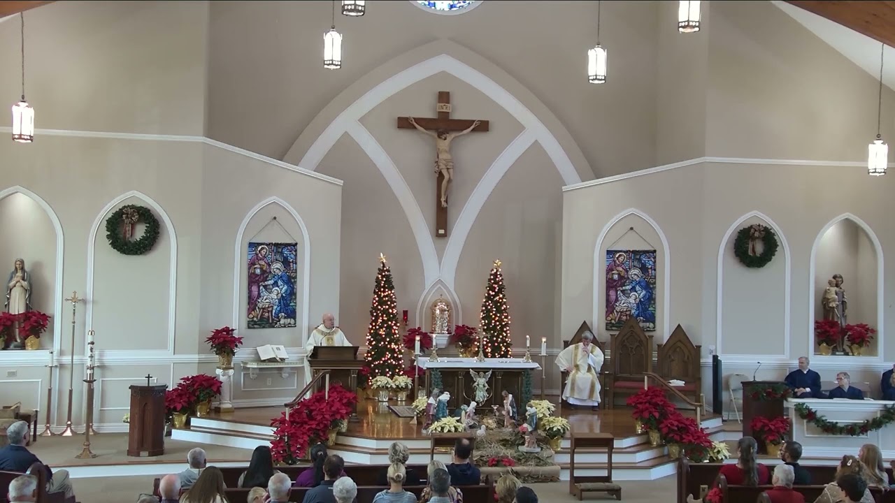 Homily for The Baptism of the Lord-1/11/2026