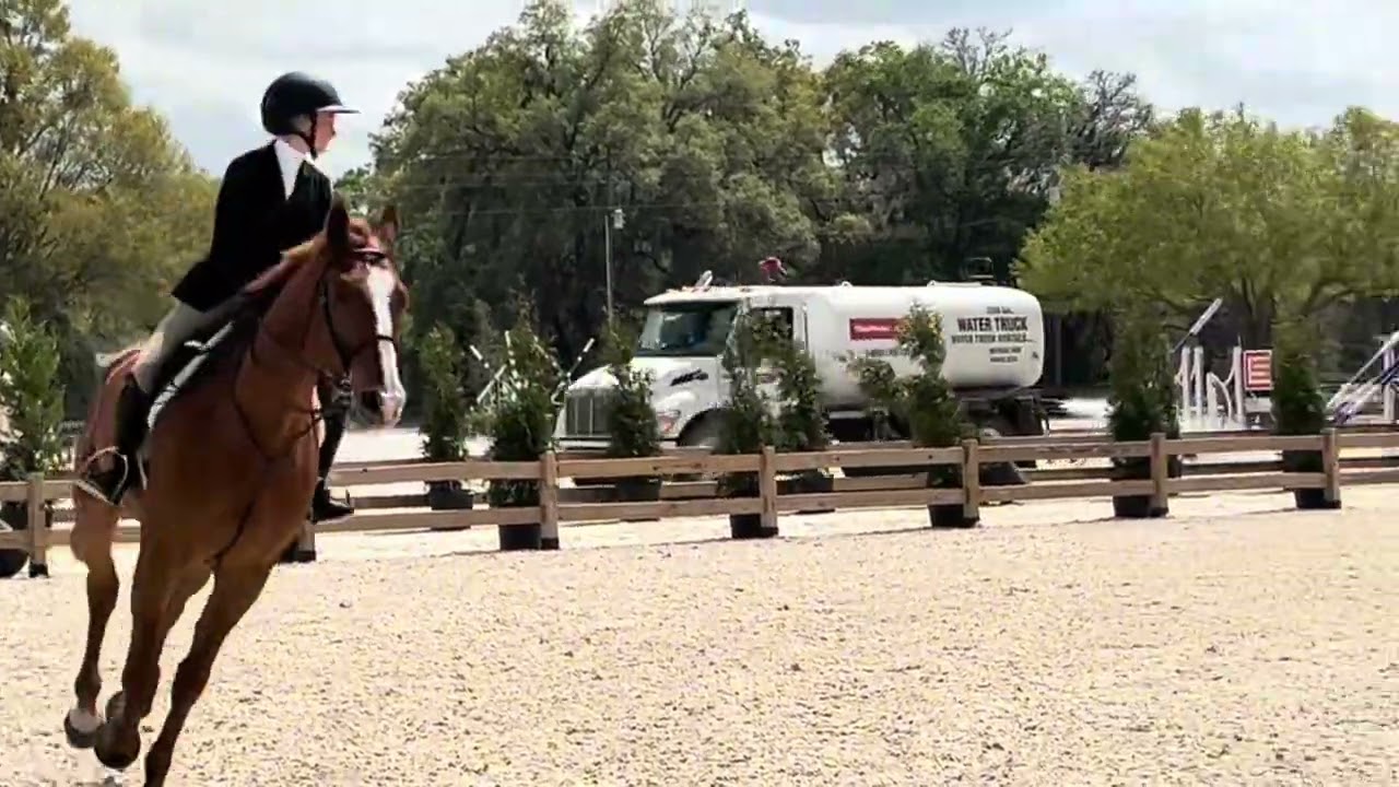 Macy Rutledge- Full round USHJA 2’9”, catch ride at HITS Ocala 