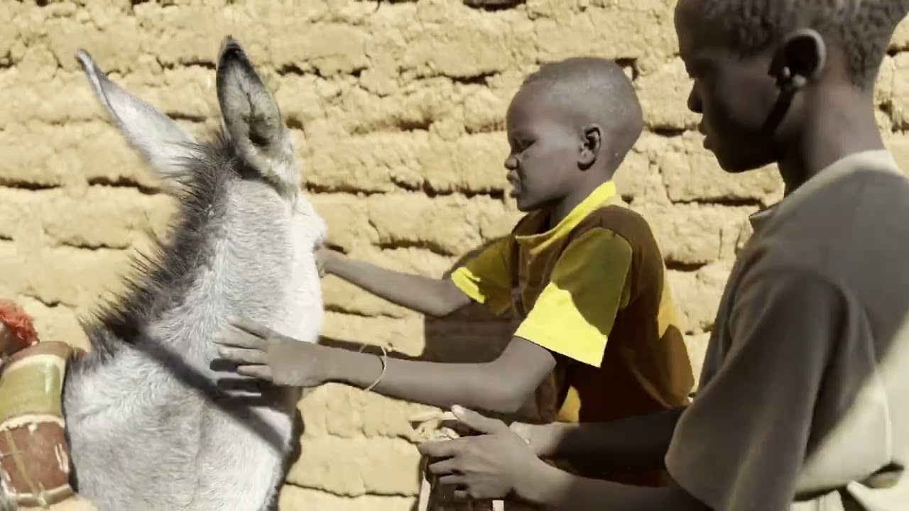 Sundance 2025 | KHARTOUM (World Cinema Documentary) | First Clip 2