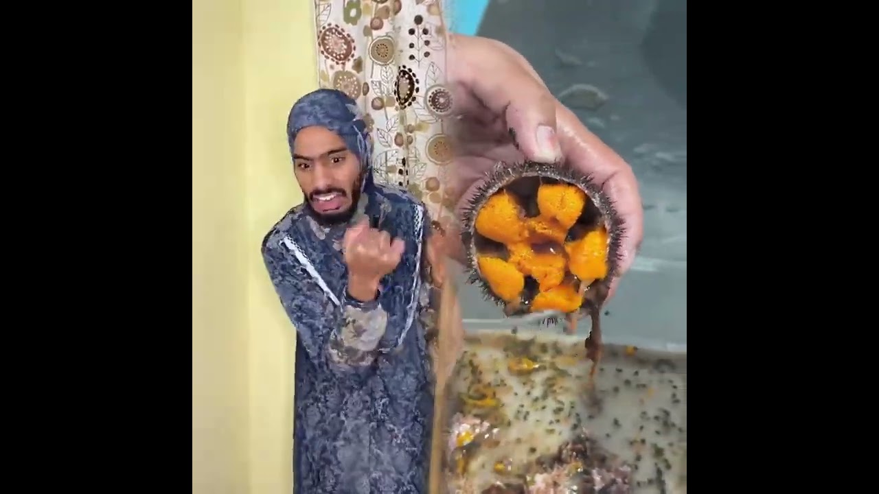 #comedy #funny #arab #viral #كوميديا #family #humor #arabic #عربي #relatable #trending