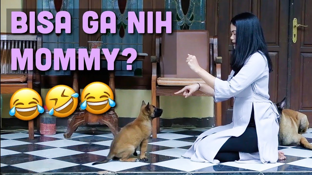 MOMMY COBA NGELATIH NOOBIE!