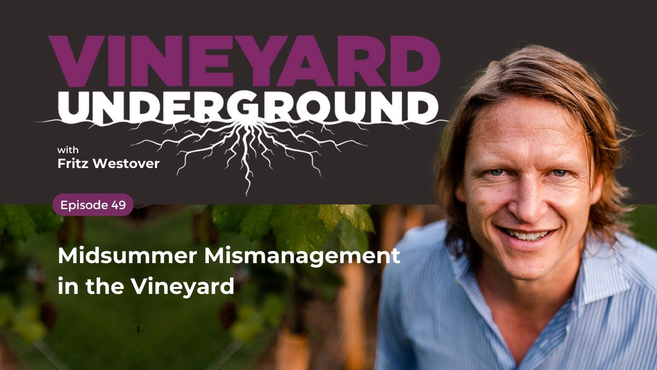 VU Ep49: Midsummer Mismanagement in the Vineyard #viticulture #grapegrowing #viticulture #vineyard