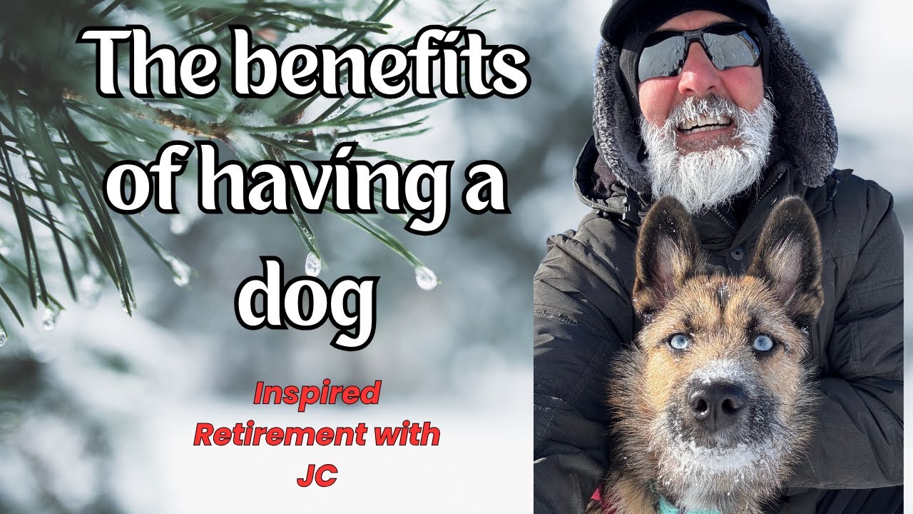 Benefits of Having a dog