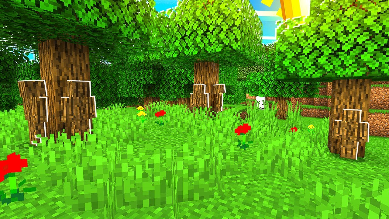 HOLZ CAMO HIDE & SEEK!