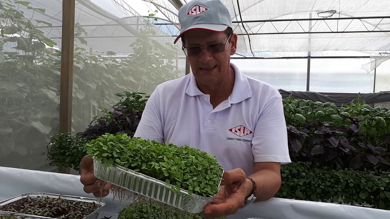 Conheça o nosso sistema de produção de microverdes