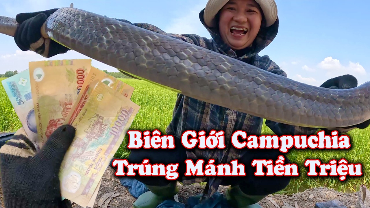 RẮN Khủng Vùng Biên Giới ? Hai Vợ Chồng Vô Mánh Tiền Triệu Nơi Xa Xôi # CSBR # 468