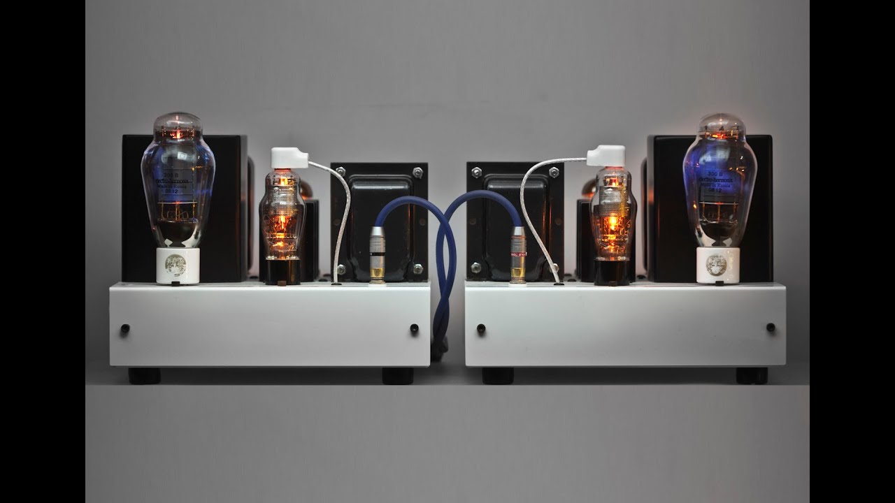 DIY Western Electric WE91 300B Mono block #audiophile #300Btube #DIY #WesternElectric