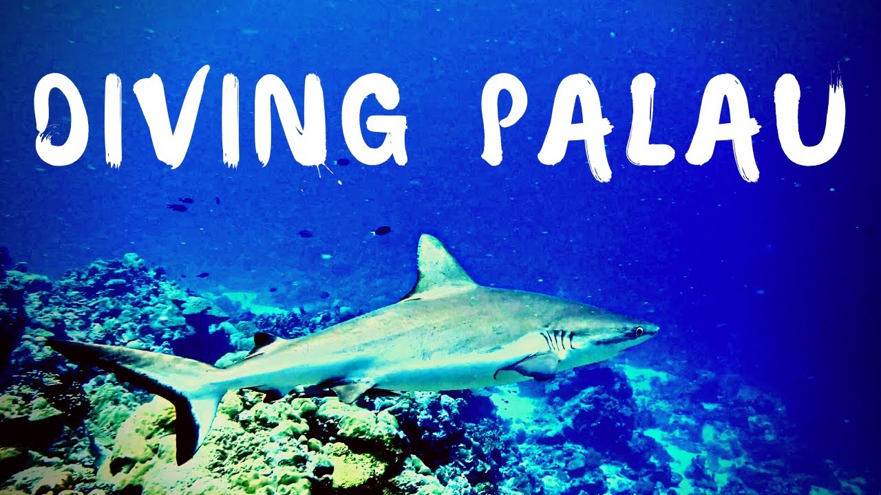 Diving Palau Part 1. German Channel, Ulong Channel, Siaes Tunnel, Rock Islands, 4K Drone Footage.
