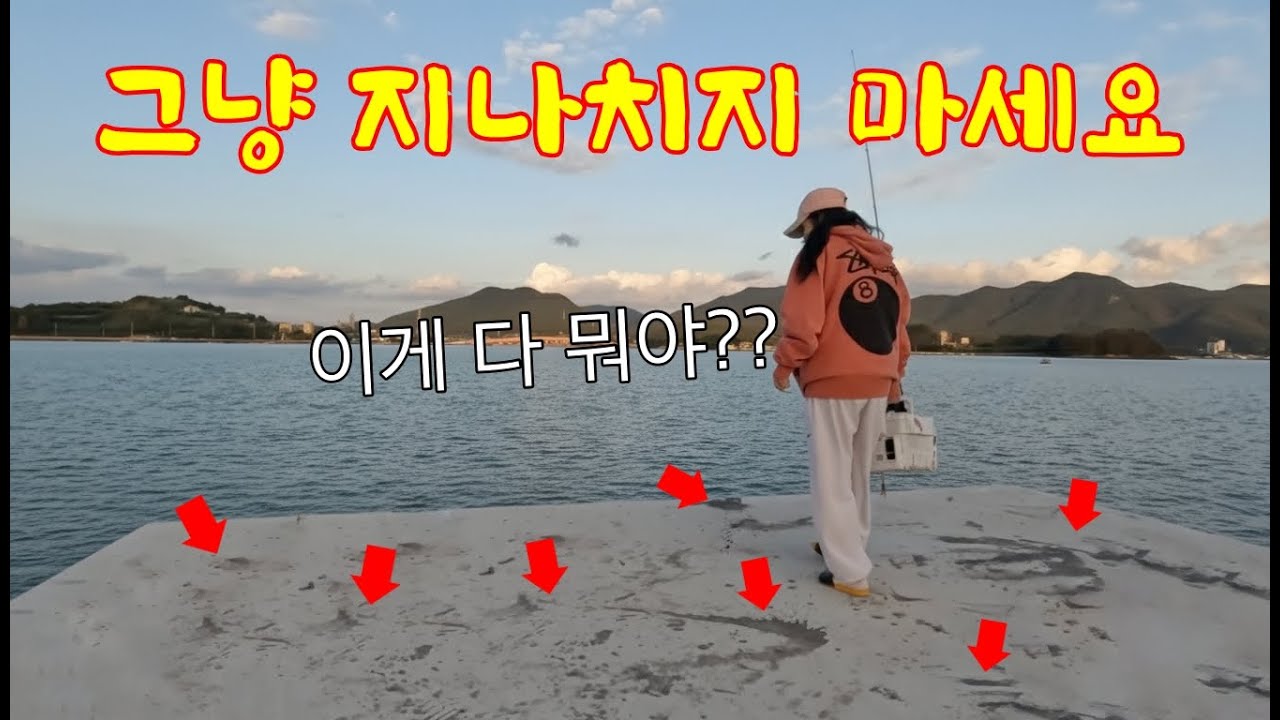 바닷가에서 이런 게 보이면 절대 그냥 지나치지 마세요