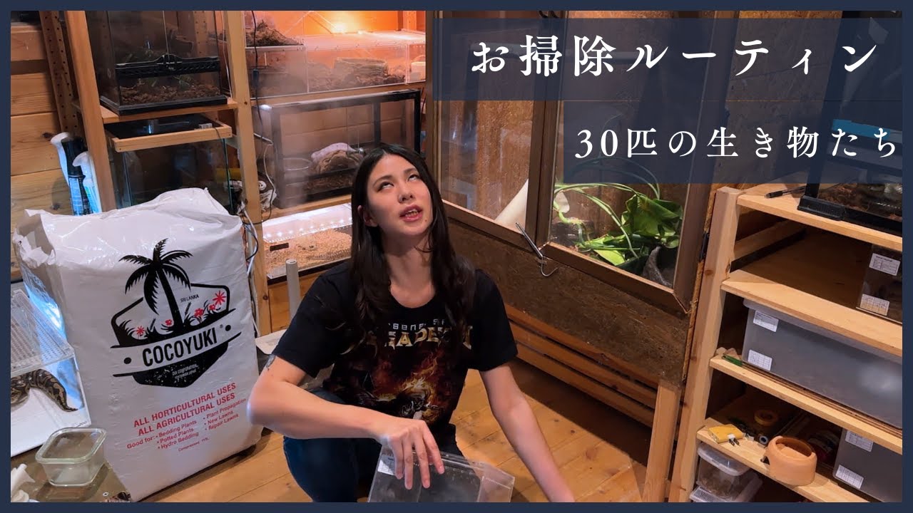 30匹の生き物を飼育する女がケージ全部掃除してみた